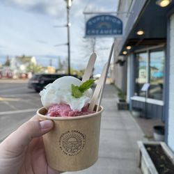 Superior Creamery - Lemon Sorbet, North Shore(?) Sorbet