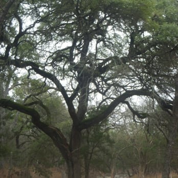 Sunset Valley Nature Trail - Hiking Near Me - Sunset Valley, Texas Sunset Valley Nature Trail - Hiking Near Me - Sunset Valley, Texas