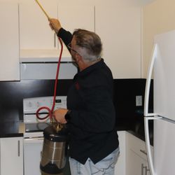 Moes Pest Control