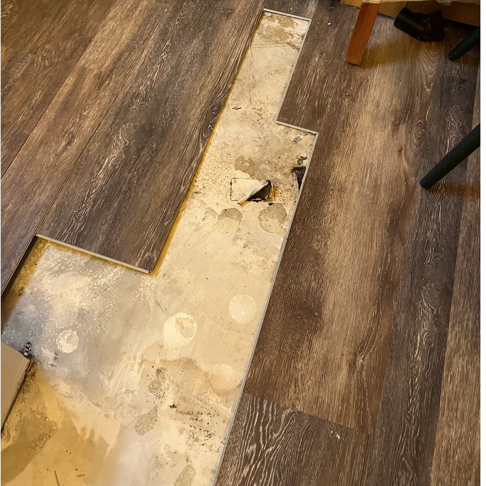 J Home Construction Services - Cardboard and glue residue - General Contractors Near Me - Arlington Heights, Illinois J Home Construction Services - Cardboard and glue residue - General Contractors Near Me - Arlington Heights, Illinois