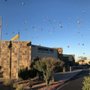 Photo of Arizona Tile