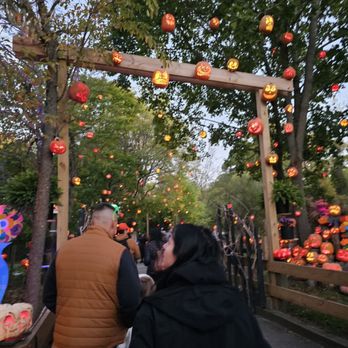 Jack-O-Lantern Spectacular - So nicely designed - Festivals Near Me - Providence, Rhode Island