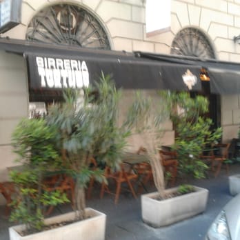 Tortuga - Breweries Near Me - Milan, Michigan
