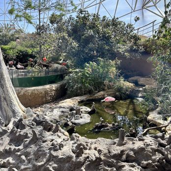Oceanogràfic - Aviary is located outdoors.. bring a hat you don't care about:) - Aquariums Near Me - Valencia, V