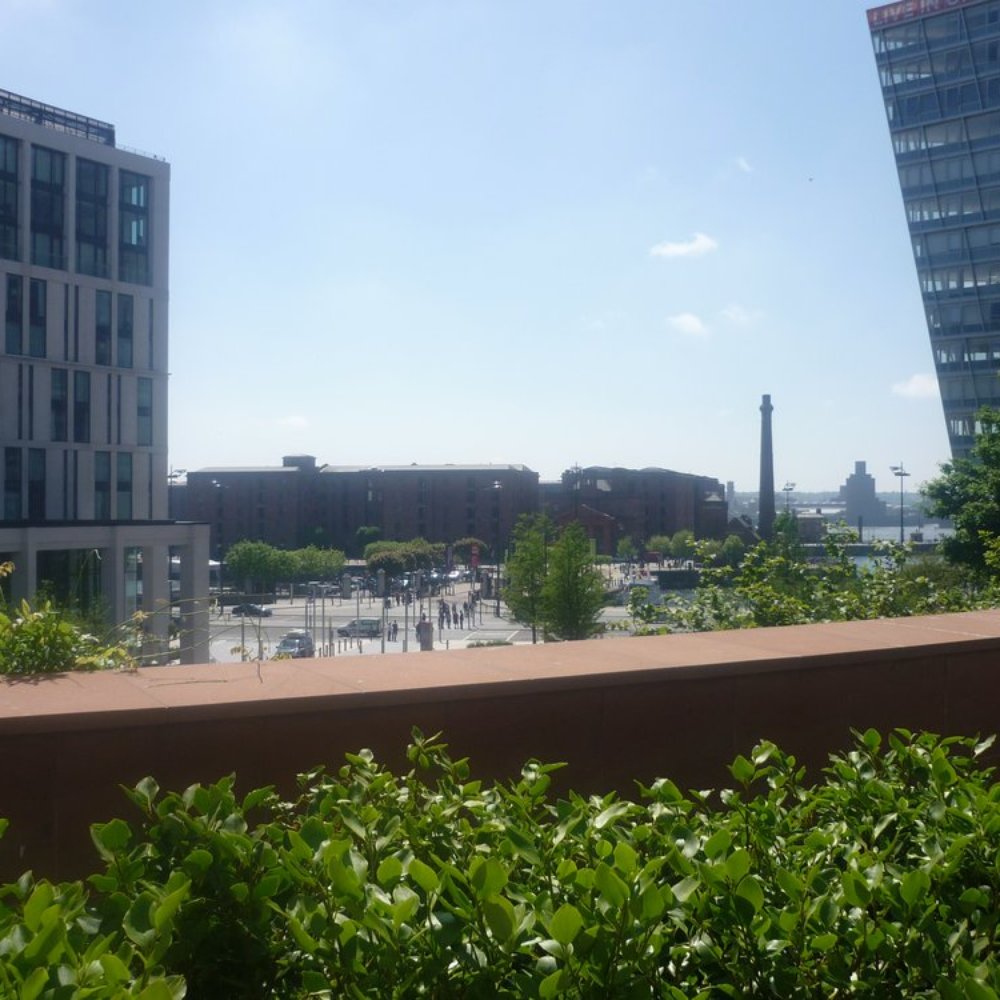 Chavasse Park - Local Flavor Near Me