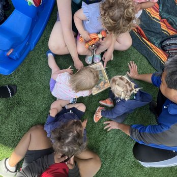 Peregrine School - My child's class and their teachers, looking at an insect box with silkworms. - Elementary Schools Near Me - Davis, California