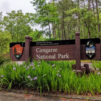 Congaree National Park - Parks Near Me - Hopkins, South Carolina
