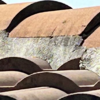 Alan Scott Roof Cleaning - mold - Painters Near Me Alan Scott Roof Cleaning - mold - Painters Near Me