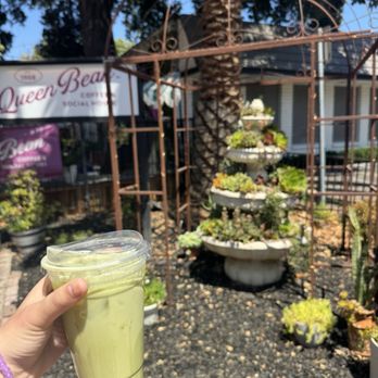The Queen Bean Coffee House - Matcha Oatmilk w/ vanilla and honey - Coffee & Tea Near Me - Modesto, California The Queen Bean Coffee House - Matcha Oatmilk w/ vanilla and honey - Coffee & Tea Near Me - Modesto, California