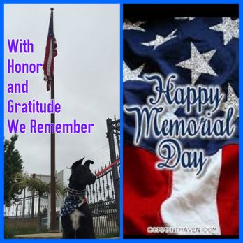 TNT Automotive - TnT will be closed monday May 29th to honor those we have lost. - Auto Repair Near Me - Camarillo, California TNT Automotive - TnT will be closed monday May 29th to honor those we have lost. - Auto Repair Near Me - Camarillo, California