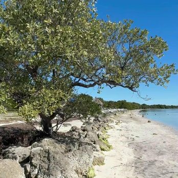 Long Key State Park - Rees's Roots - Long Key State Park Florida - Parks Near Me - Layton, Florida Long Key State Park - Rees's Roots - Long Key State Park Florida - Parks Near Me - Layton, Florida