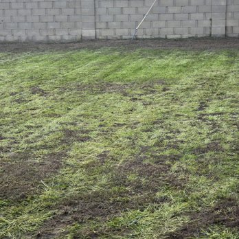 Prime Green Care - Landscaping Near Me - Long Beach, California