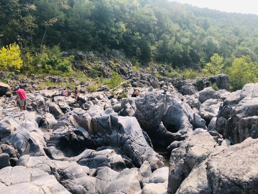 Johnson's Shut-Ins State Park by null