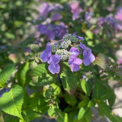 Randy's Lakeview Nursery & Stone