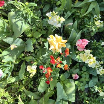 Jardins et Maison de Claude Monet - Museums Near Me - Giverny, 27
