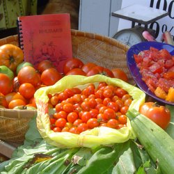Putnam Valley Farmers Market - VARIETIES OF TOMATOS