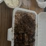 Photo of Daddy's Jerk