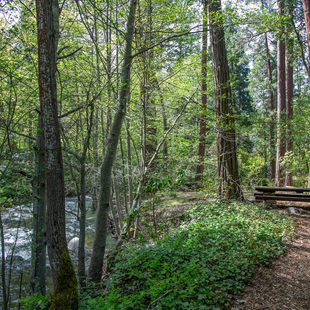 Lithia Park - Parks Near Me - Ashland, Oregon Lithia Park - Parks Near Me - Ashland, Oregon