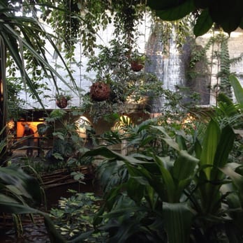 Biosphäre Potsdam - Walking in the artificial tropical rainforest. Brilliant! - Zoos Near Me - Potsdam, BB