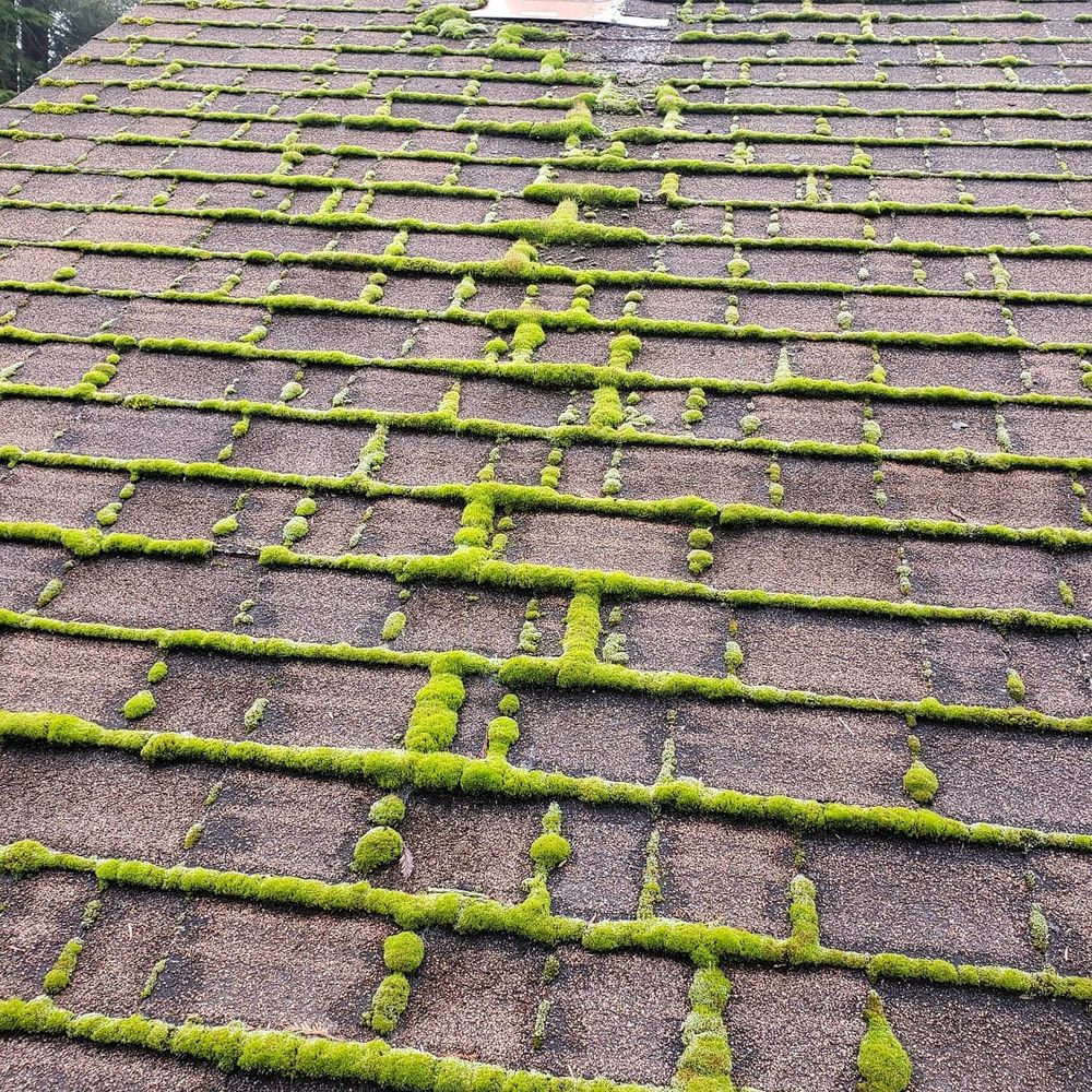 Slide of Diamond Touch Roof Cleaning and Repair