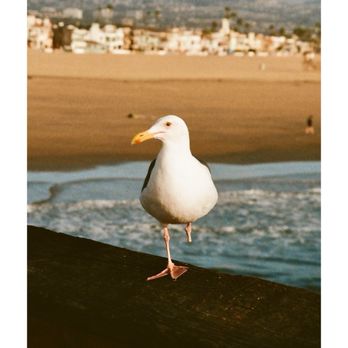 Bill's Camera - Photography Stores & Services Near Me - Huntington Beach, California
