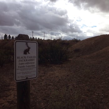 Pit Park - Parks Near Me - Deming, New Mexico
