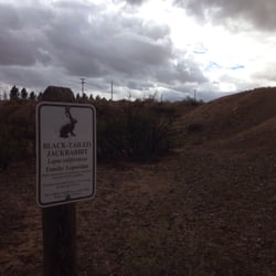 Pit Park