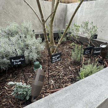 TOAST Cafe - Plants they grow - Cafes Near Me - San Diego, California TOAST Cafe - Plants they grow - Cafes Near Me - San Diego, California