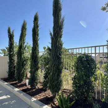 Moon Valley Nurseries - Nurseries & Gardening Near Me - Murrieta, California Moon Valley Nurseries - Nurseries & Gardening Near Me - Murrieta, California
