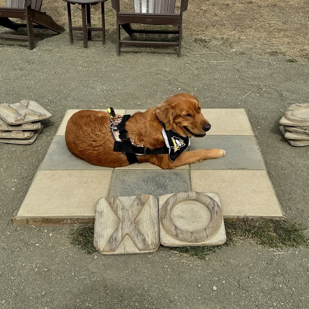 Cavalier Oceanfront Resort - Kisses and Hugs for a supreme dog friendly vacation! - Resorts Near Me - San Simeon, California Cavalier Oceanfront Resort - Kisses and Hugs for a supreme dog friendly vacation! - Resorts Near Me - San Simeon, California