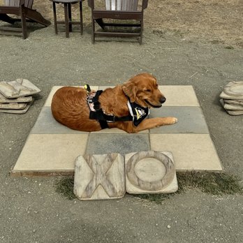 Cavalier Oceanfront Resort - Kisses and Hugs for a supreme dog friendly vacation! - Resorts Near Me - San Simeon, California
