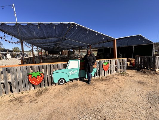 Tanaka Farms by null