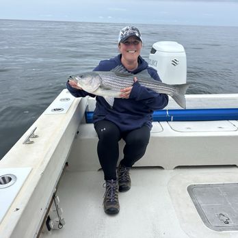 Pine Island Guide Service - Striped bass fish - Boat Charters Near Me - Ogunquit, Maine Pine Island Guide Service - Striped bass fish - Boat Charters Near Me - Ogunquit, Maine