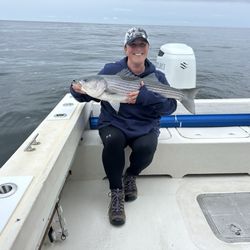Pine Island Guide Service - Striped bass fish