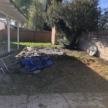 Green World Landscape - Before Picture, hard to tell but those are nasty weeds in the background! - Landscaping Near Me - Concord, California