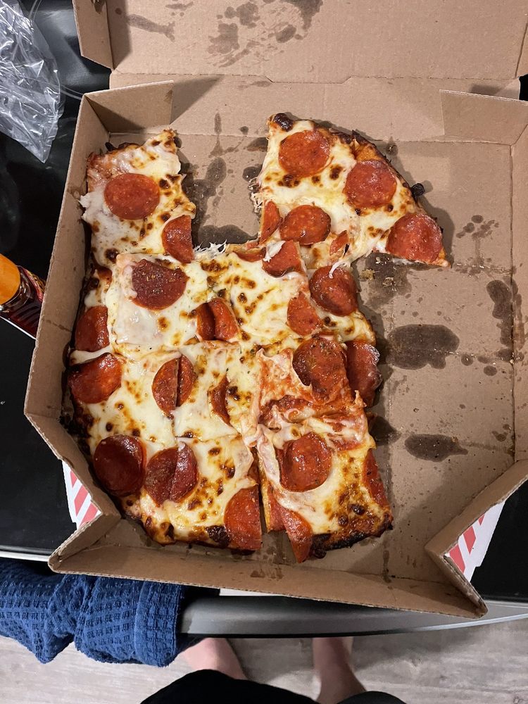 Domino's Pizza Logo