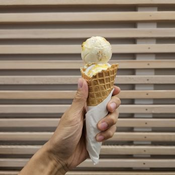 Elephant Garden Creamery - Ice Cream & Frozen Yogurt Near Me - Vancouver, British Columbia Elephant Garden Creamery - Ice Cream & Frozen Yogurt Near Me - Vancouver, British Columbia