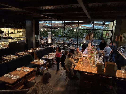 Hinoki & the Bird by null Hinoki & the Bird by null