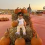 Photo of Golden State Family Farms
