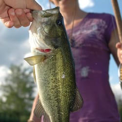 Fly Fishing Consultant