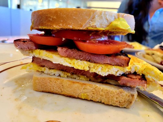 Blueberry Hill | Family Restaurant by null