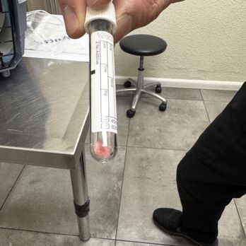Van Nuys Veterinary Clinic - Large Bladder Stone removed from my 11 lbs Ragdoll Mix - Veterinarians Near Me - Van Nuys, California