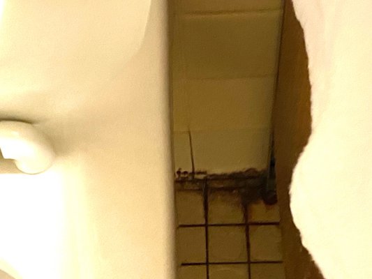 AHN Allegheny General Hospital by null