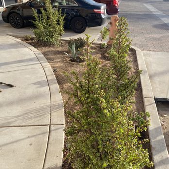 The Academy of Islamic Knowledge - Outside garden - Mosques Near Me - Highland, California The Academy of Islamic Knowledge - Outside garden - Mosques Near Me - Highland, California