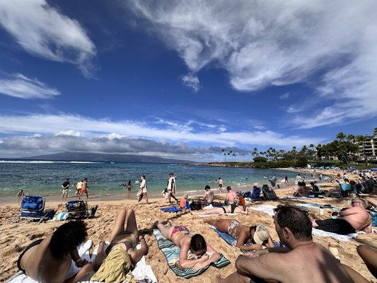Kapalua Bay Beach by null