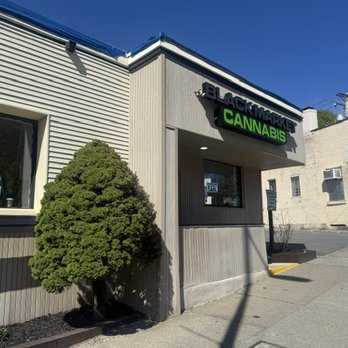 BLACK MARKET CANNA - Updated August 2026 - 10 Reviews - 89 Main St