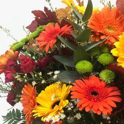 Cammarota Fiori