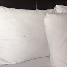 Stained Pillow Cases Stained Pillow Cases