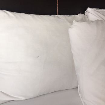 The Thompson Hotel & Conference Centre - Stained Pillow Cases - Hotels Near Me - Kamloops, British Columbia The Thompson Hotel & Conference Centre - Stained Pillow Cases - Hotels Near Me - Kamloops, British Columbia