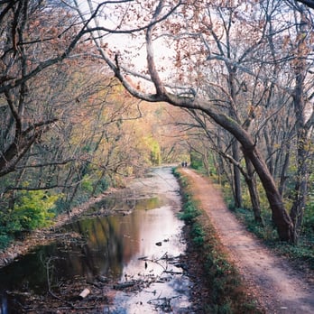 C&O Canal - Close to Little Falls - Local Flavor Near Me - Washington, DC, District of Columbia